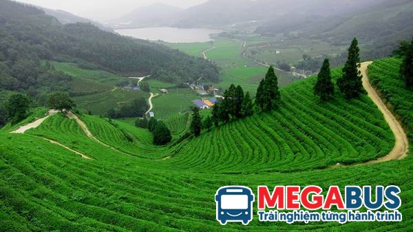 Danh sách xe khách tuyến Thanh Hóa đi Thái Nguyên mới nhất -  | Hệ thống đặt vé xe Limousine và xe giường nằm cao cấp | 1900 6772