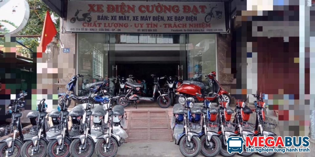 Top 10 cửa hàng bán xe đạp điện uy tín ở Quảng Ninh - Megabus.vn | Hệ ...