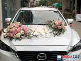 Địa chỉ thuê xe cưới uy tín tại Lâm Đồng