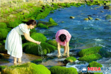 Đến Phú Yên chơi ở đâu? – Top list địa điểm