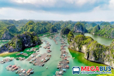 Review chất lượng nhà xe Discovery Travel từ Hà Nội đi Cát Bà