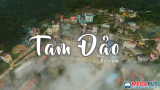 Tam Đảo thì có gì chơi