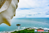 Bến xe Vũng Tàu | Du lịch cuối tuần | Thông tin Bến Xe