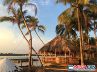 Đến Bến Tre thì chơi gì? Top list địa điểm