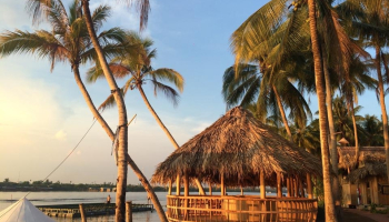 Đến Bến Tre thì chơi gì? Top list địa điểm