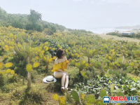 Chơi gì ở Phú Yên? Top 9 địa điểm cần lưu ý