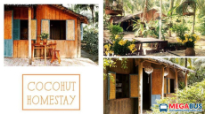 Top 10 Homestay Bến Tre đậm chất Miền Tây sông nước Cửu Long