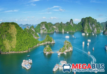 Kinh nghiệm du lịch Hạ Long “chuẩn đét” cho kỳ nghỉ lễ!