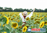 Kinh nghiệm du lịch Miền Tây chi tiết nhất