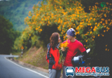 Đến Mộc Châu cần đọc qua kinh nghiệm du lịch Mộc Châu này!