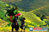 Đặc sản Hà Giang làm quà, đi du lịch Hà Giang nên mua gì làm quà | Ẩm thực bốn phương