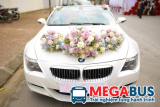 Thuê xe cưới giá rẻ tại Lào Cai | Megabus