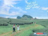 TOP 5+ VILLA Ở MỘC CHÂU ĐẸP NHẤT