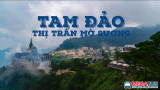 Đi Tam Đảo thì thuê xe gì?