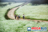 Top 5 nơi thuê xe máy phượt Mộc Châu giá rẻ nhất