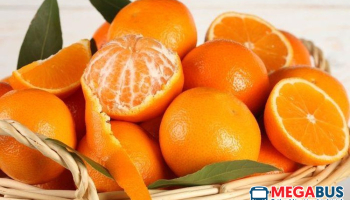 Top 10 cách không say xe hiệu quả nhất | Say xe nên làm gì và ăn gì
