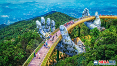 Top 10 quán ốc ”siêu ngon” nức lòng du khách tại Đà Nẵng