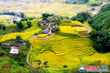 Đặt vé xe giường nằm Sapa về Hà Nội chỉ 170k/vé | 0936904987