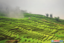 TOP 10 Homestay săn mây lý tưởng tại Y Tý – Lào Cai